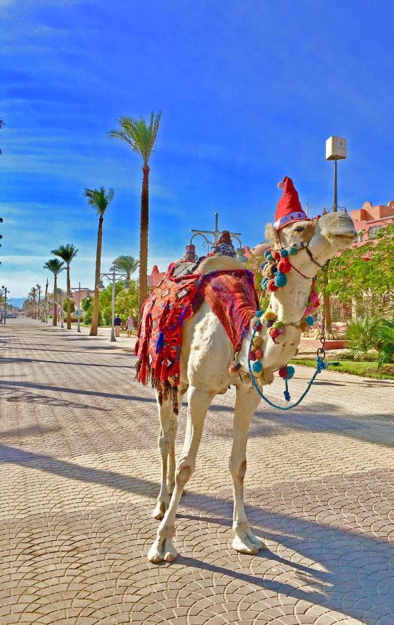 Ferienwohnung Modern Mountain View On The Touristic Promenade Hurghada Exterior foto